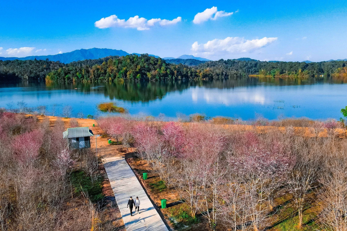 Scenic view of Pa Khoang Lake with jade green water and surrounding forest
