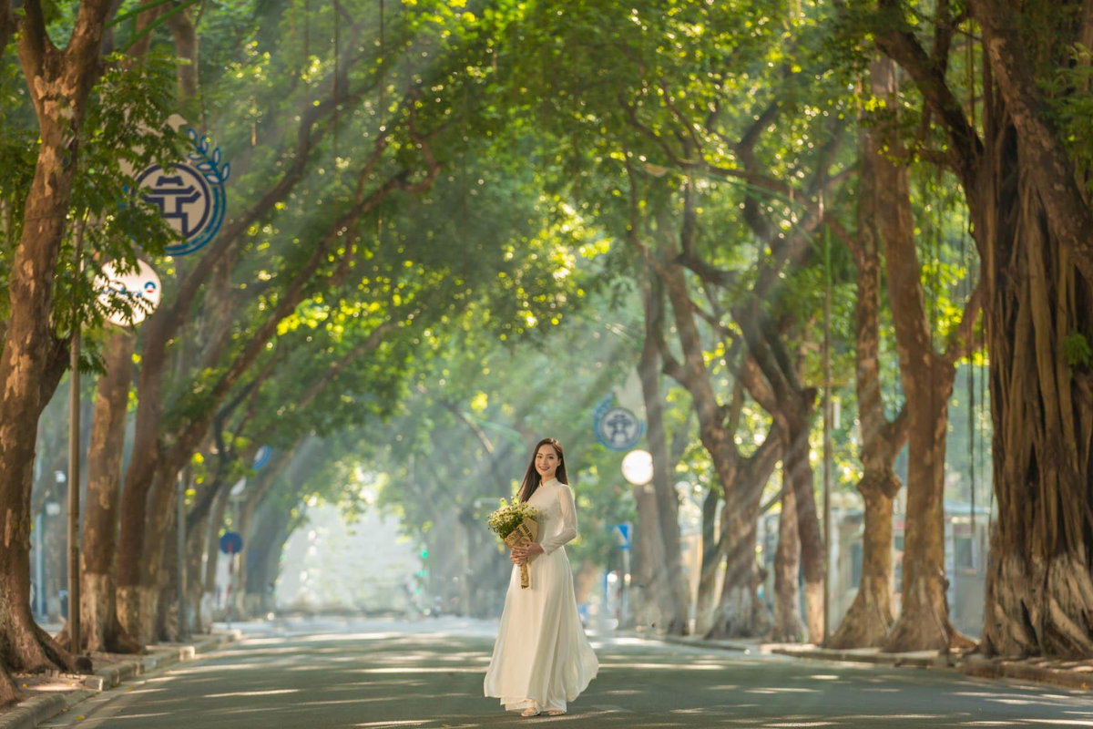 Phan Dinh Phung Street with golden fallen leaves in Hanoi