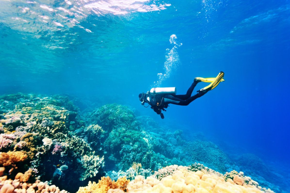 Rach Vem snorkeling area