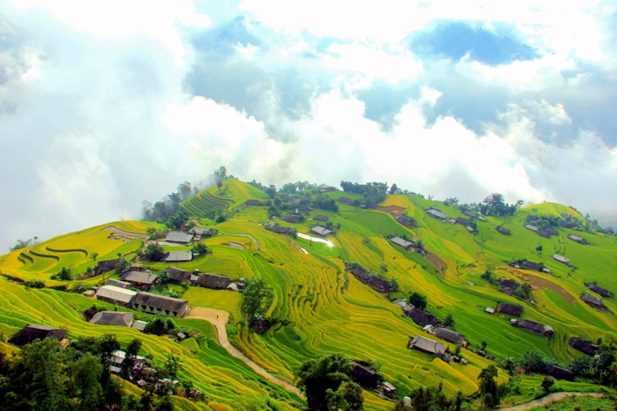 Phung Village rice terraces shrouded in morning mist