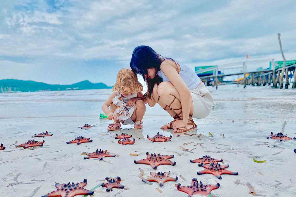 Beautiful view of Rach Vem Beach with starfish on the shore