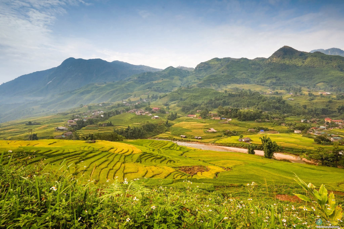 Lush green rice terraces in Sapa during August
