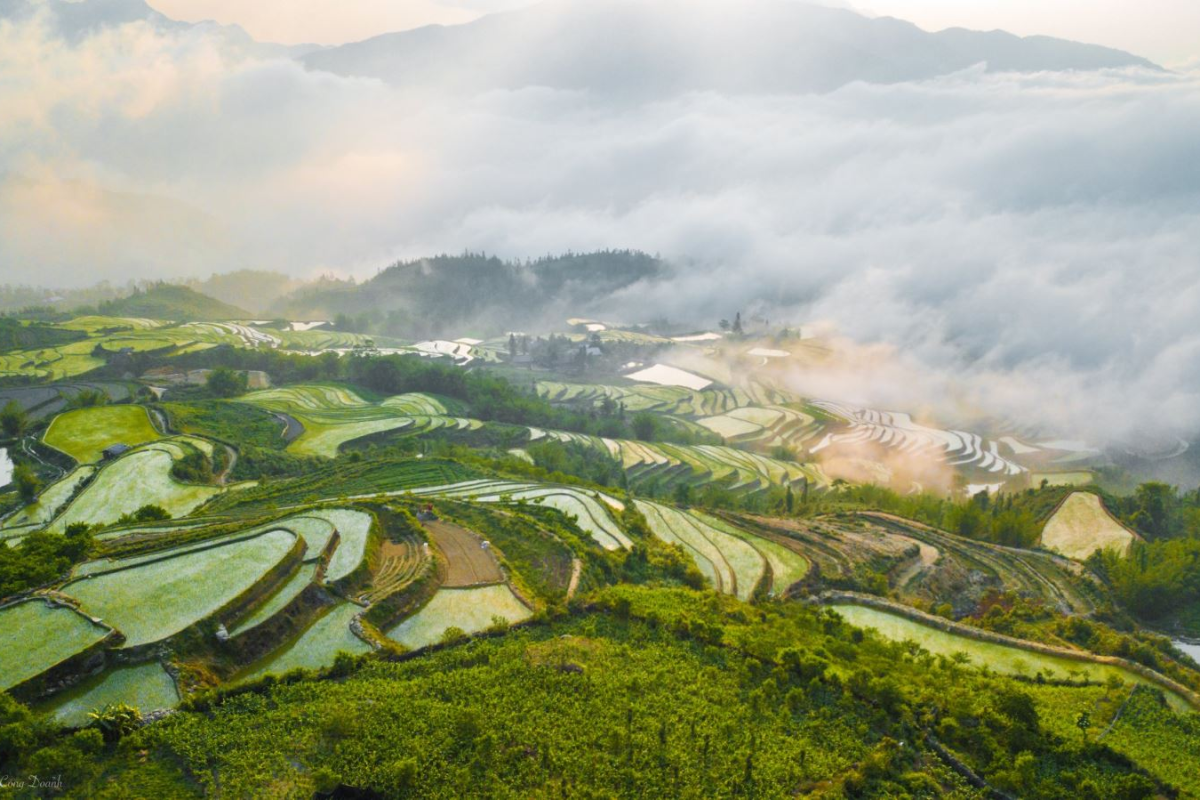 Beautiful landscape of Sapa in June with rice terraces and blue sky