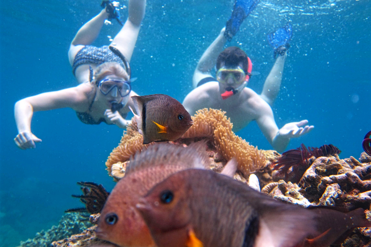 Scuba diver exploring coral reefs at Hon Mun Marine Protected Area
