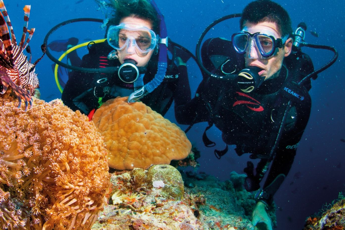 Scuba diver exploring coral reefs in Nha Trang