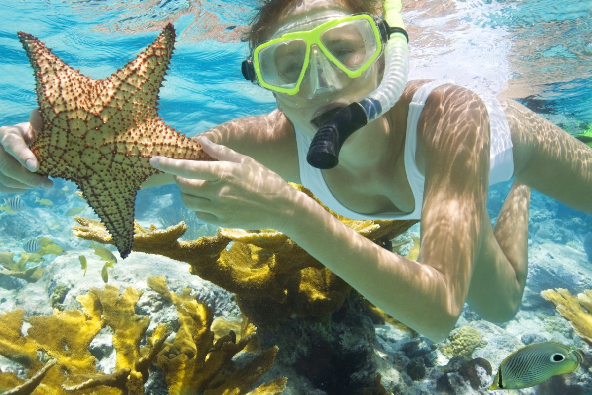Starfish Beach Phu Quoc