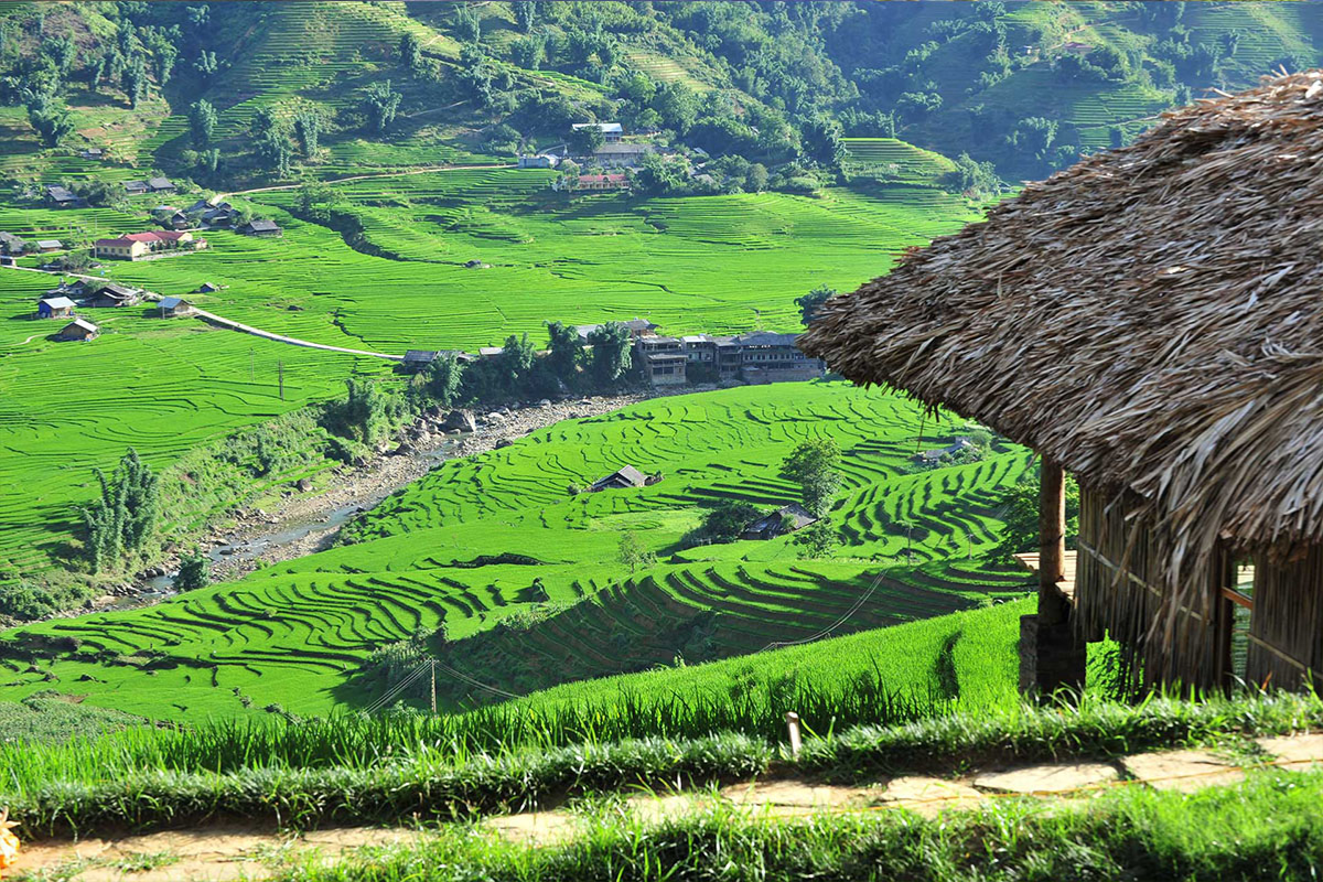 Traditional Giay house surrounded by rice terraces in Ta Van Village