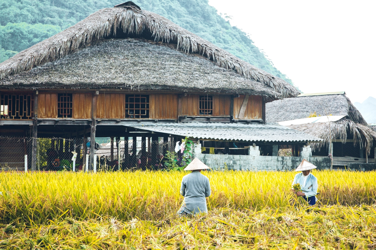 Thon Tha Village Landscape