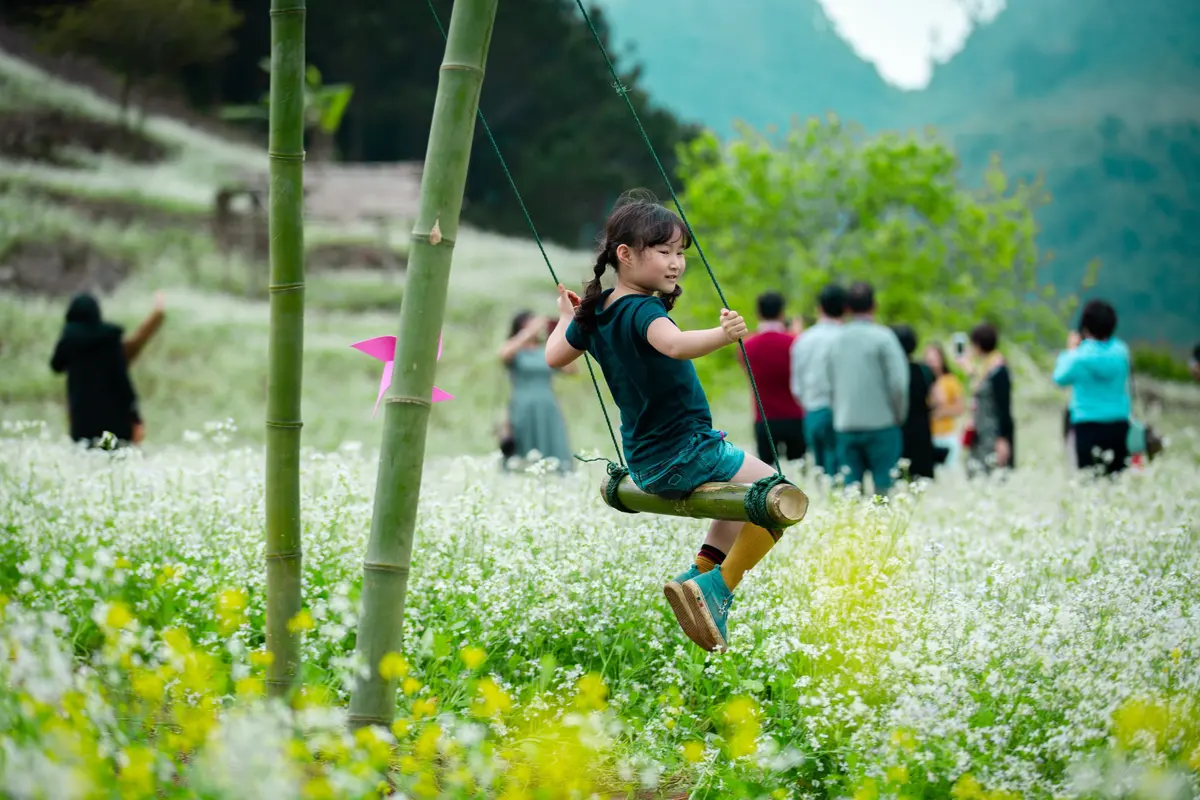 White flower fields in Thong Cuong Village, Moc Chau