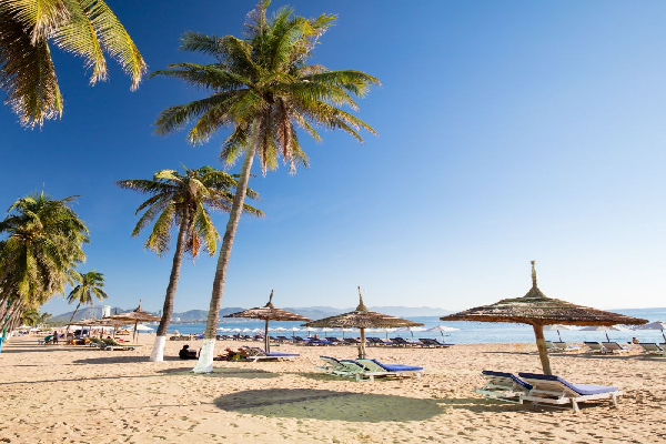7D6N Dalat – Nha Trang - Da Nang Tour - photo 1
