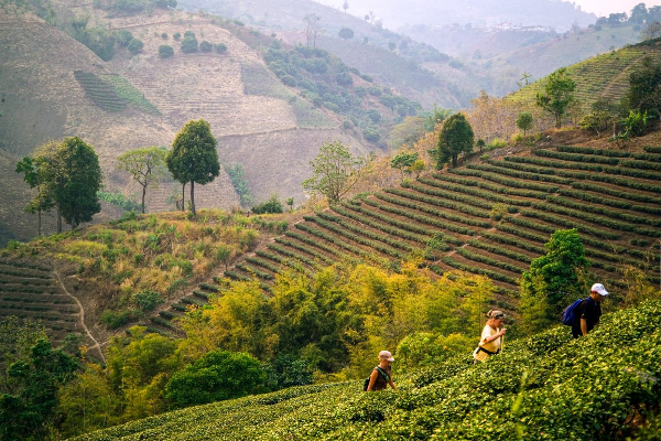 3D2N Chiang Rai Trekking Tour - photo 6