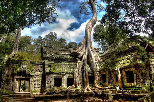 ANGKOR THOM 1 DAY TOUR - photo 9