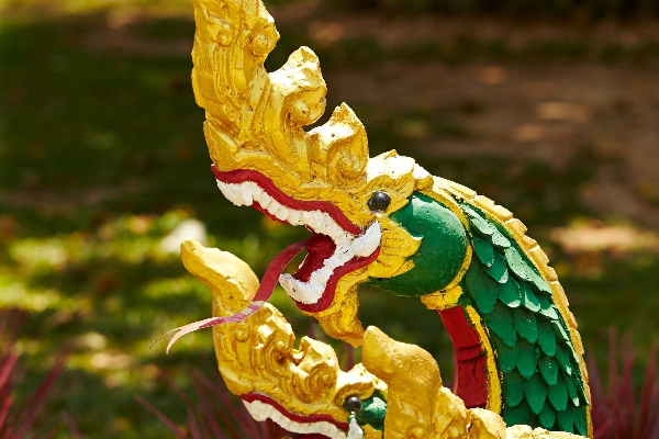 Luang Prabang 5 Days ( Buffalo Farm ) - photo 7