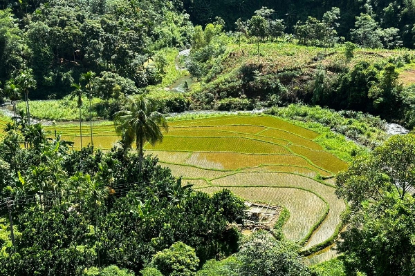 6D5N Mai Chau Pu Luong Retreat Ninh Binh Tour - photo 12