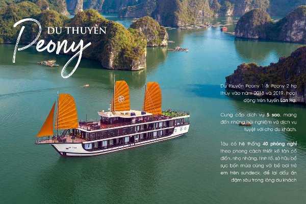 2D1N PEONY CRUISE HALONG - photo 12
