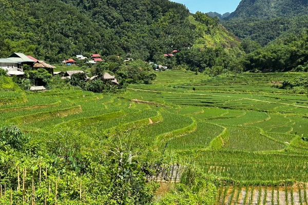 8D7N Mai Chau Valley Pu Luong Retreat Ninh Binh Halong Bay Tour - photo 7