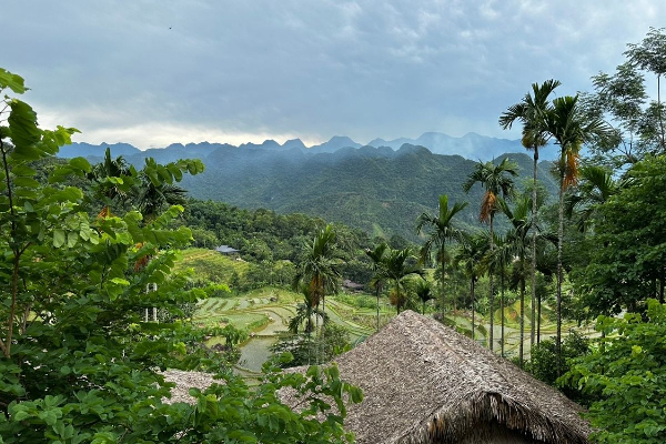 8D7N Mai Chau Valley Pu Luong Retreat Ninh Binh Halong Bay Tour - photo 11