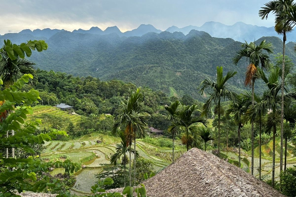 6D5N Mai Chau Pu Luong Retreat Ninh Binh Tour - photo 39