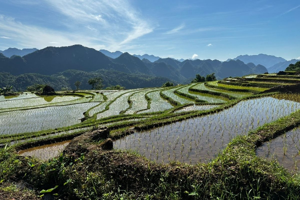 8D7N Mai Chau Valley Pu Luong Retreat Ninh Binh Halong Bay Tour - photo 2