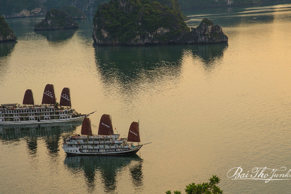 2D1N Victory Cruise Halong Bay - photo 2