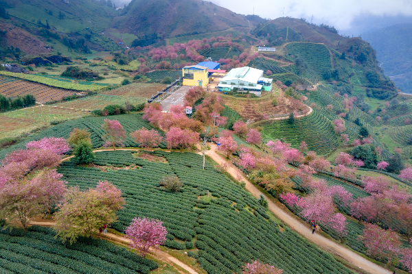 4D3N Hanoi Sapa Halal Tour - photo 2