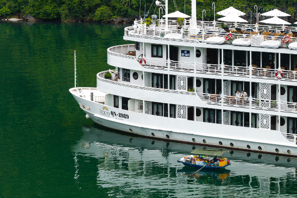 ÂU CƠ CRUISE 2D1N - photo 2