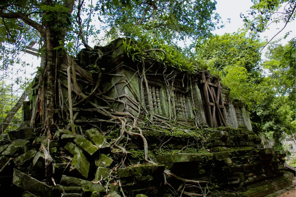 Beng Mealea Temple & Rolous Group 1 Day Tour - photo 2