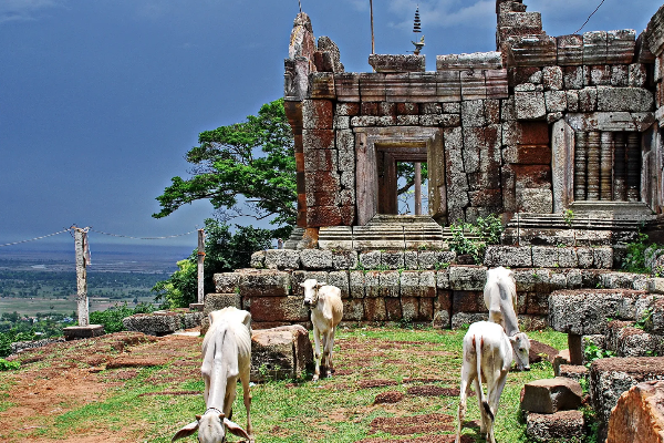 PHNOM CHISOR & TONLE BATI (Full day) - photo 2