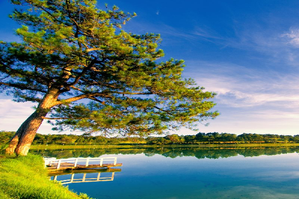 7D6N Dalat – Nha Trang - Da Nang Tour - photo 14