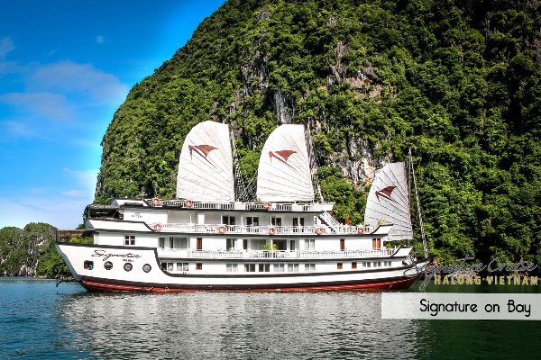 2D1N Signature Cruise Bai Tu Long Bay - photo 3