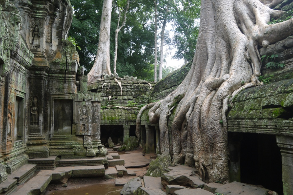 ANGKOR THOM 1 DAY TOUR - photo 2