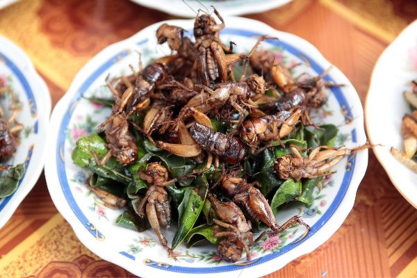 LUANG PRABANG 4 DAYS ( COOKING CLASS ) - photo 23
