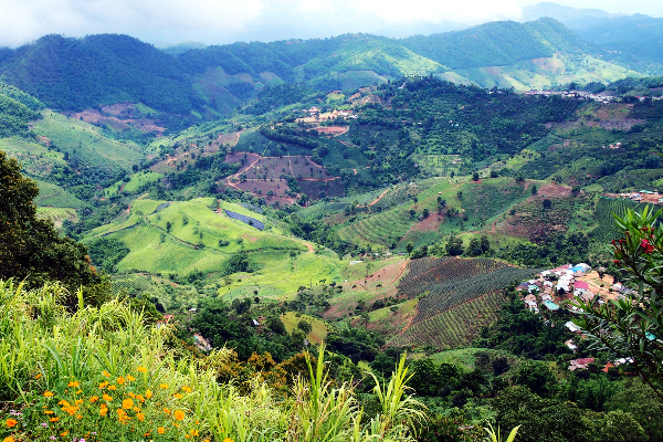4D3N CHIANG RAI TOUR - photo 10