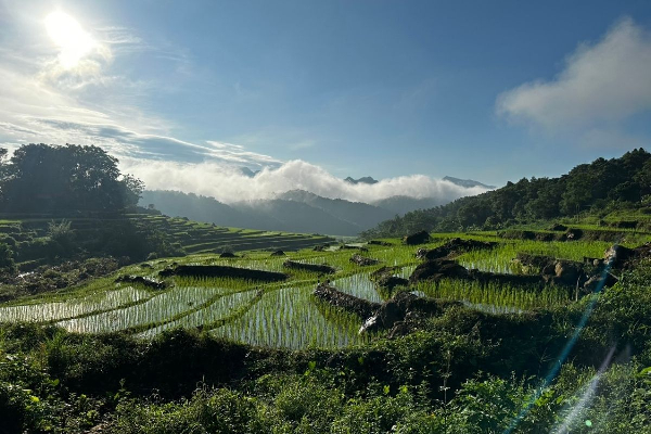 8D7N Mai Chau Valley Pu Luong Retreat Ninh Binh Halong Bay Tour - photo 16