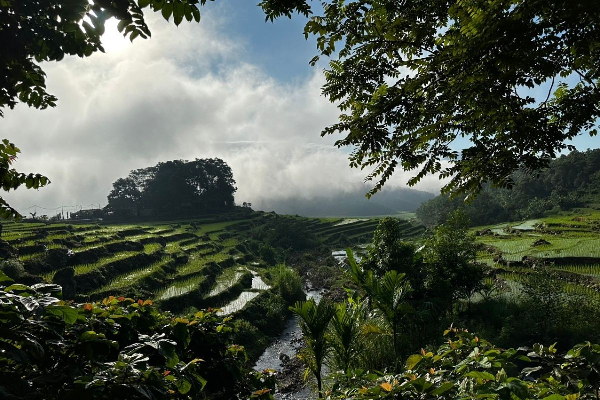 6D5N Mai Chau Pu Luong Retreat Ninh Binh Tour - photo 43