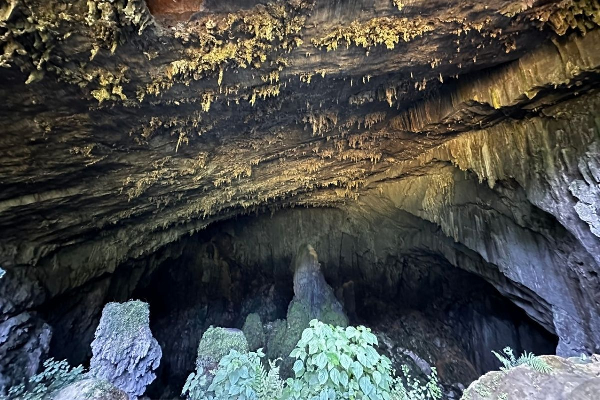 8D7N Mai Chau Valley Pu Luong Retreat Ninh Binh Halong Bay Tour - photo 23