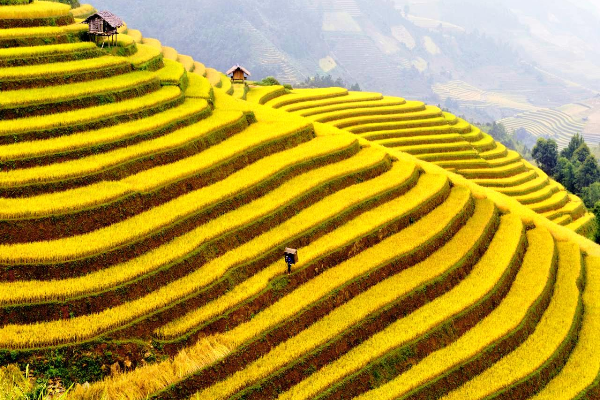 4D3N Hanoi Sapa Halal Tour - photo 6