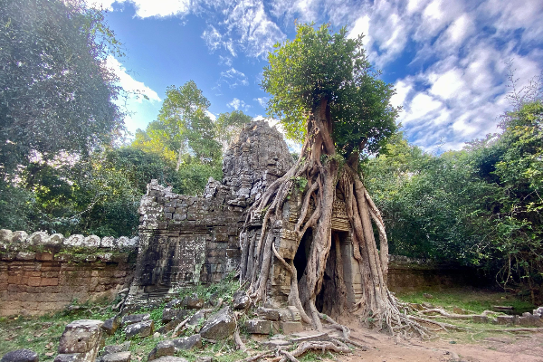 Angkor's Hidden Temples Tour in 1 Day - photo 6