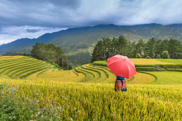 4D3N Hanoi Sapa Halal Tour - photo 7