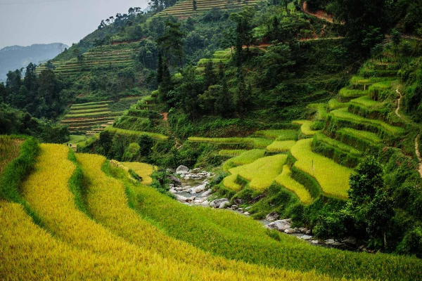 7D6N Hagiang - Yen Minh- Meo Vac - Cao Bang - Ban Gioc Waterfall - Lang Son Tour - photo 6