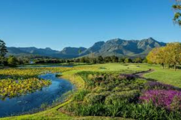 4D3N George Golf Tour - photo 17