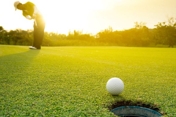4D3N George Golf Tour - photo 13