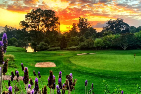 4D3N George Golf Tour - photo 15