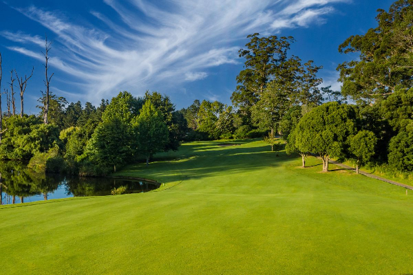 4D3N George Golf Tour - photo 16