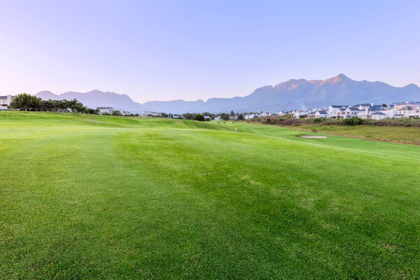 4D3N George Golf Tour - photo 7