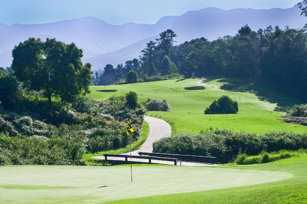 4D3N George Golf Tour - photo 9