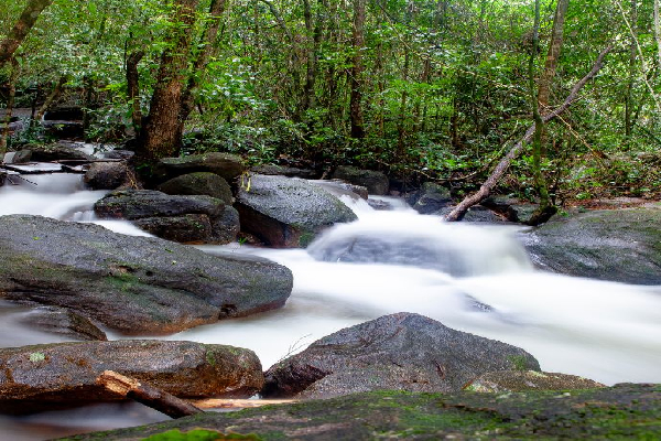 5D4N PHU QUOC ISLAND TOUR - photo 26