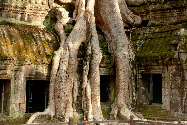 Amazing Mekong Tour 9 Days - photo 17