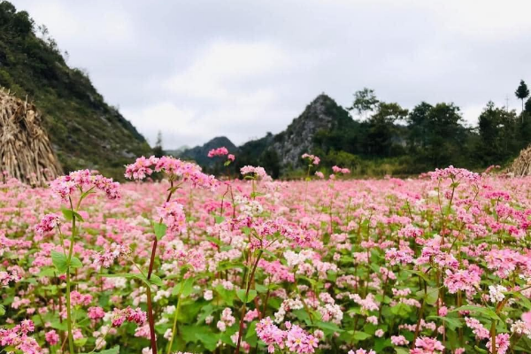 11-Day Northeast Vietnam Adventure Tour - photo 28