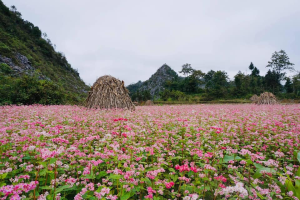11-Day Northeast Vietnam Adventure Tour - photo 27